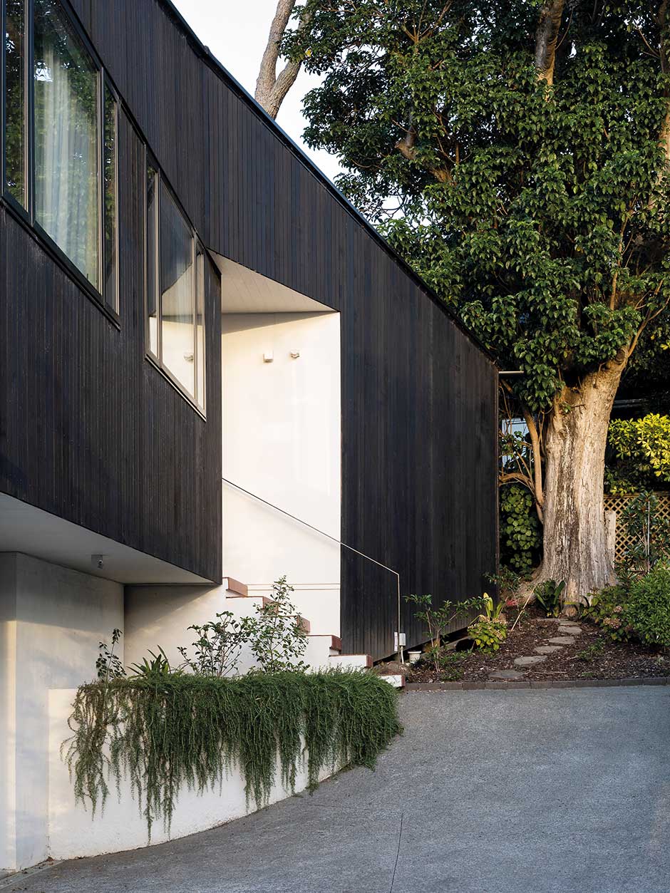Dubbed Bough House, this new build by Sayes Studio is an easeful home base